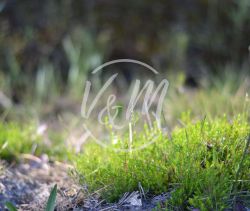 A vendre TERRAIN CONSTRUCTIBLE 410 M&sup2; COTE BASSIN ARES