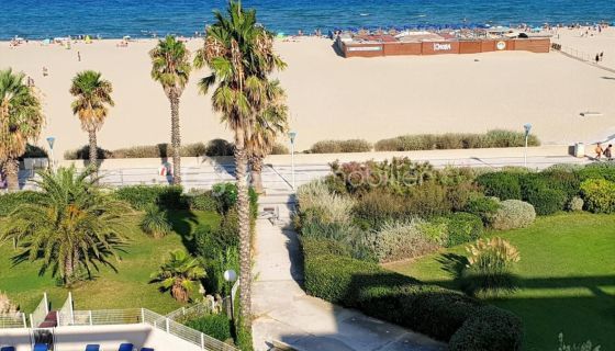 A louer APPARTEMENT T2 26 M2 TERRASSE PIEDS DANS L'EAU CANET EN ROUSSILLON