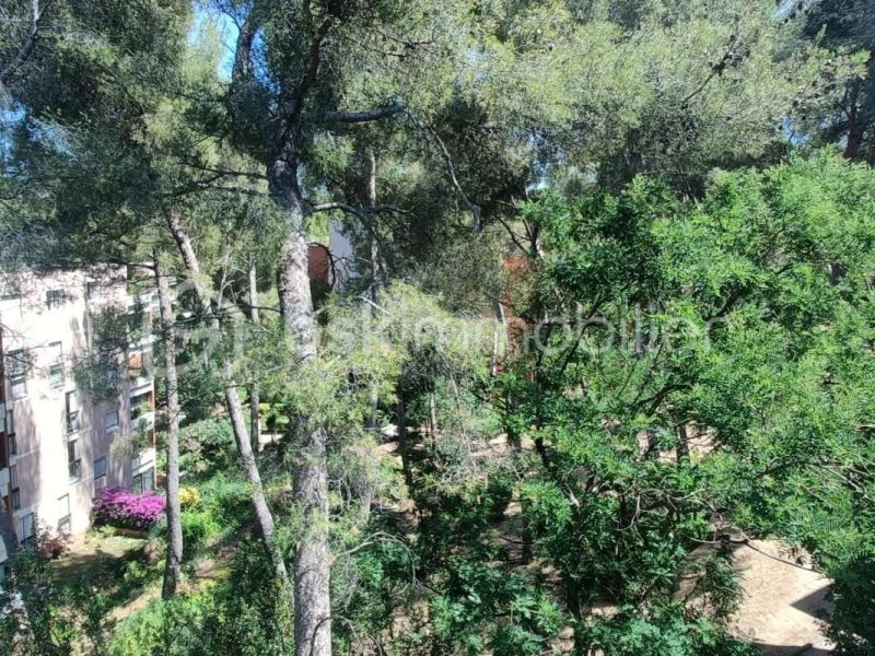 A louer APPARTEMENT T5 96 M2 BORD DE MER LA SEYNE SUR MER