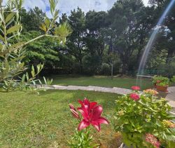 A vendre MAISON  5 PIECES 132 M2 BORD DE MER SAINT JEAN DE MONTS