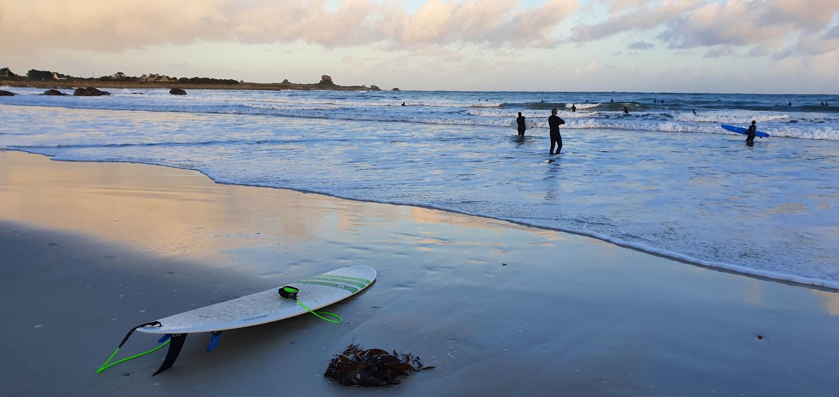 8b2d5e4b394b717ee481f76e134197dc