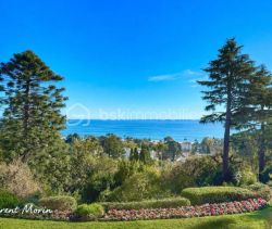 A louer APPARTEMENT T3 87 M2 TERRASSE VUE MER CANNES
