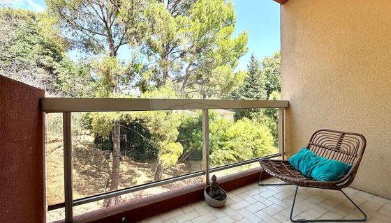 A louer STUDIO  28 M2 TERRASSE BORD DE MER NICE