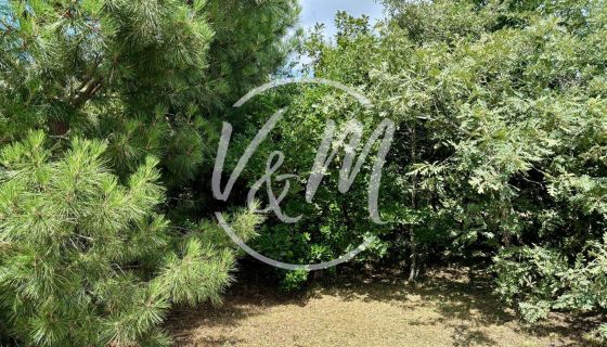 A vendre  superbe terrain arbor&eacute; 1000&sup2; proche bassin cassy Lanton