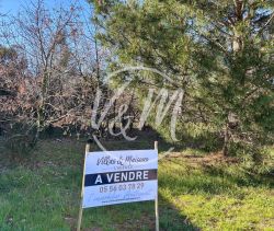 A vendre  superbe terrain arbor&eacute; 1000&sup2; proche bassin cassy Lanton
