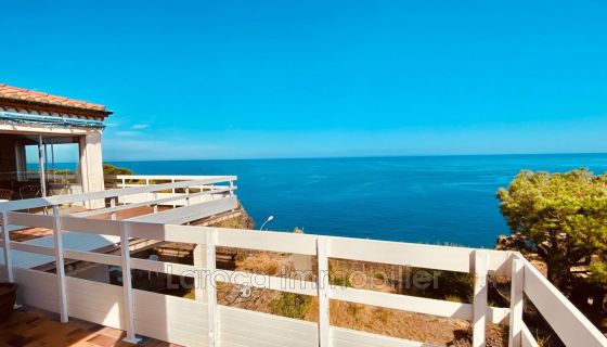 A vendre MAISON  4 PIECES 140 M2 PIEDS DANS L'EAU CERBERE
