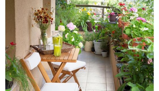 A louer APPARTEMENT T2 45 M2  AIX EN PROVENCE