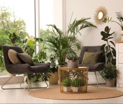A louer APPARTEMENT T2 50 M2 TERRASSE BORD DE MER NARBONNE