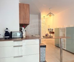 A louer APPARTEMENT T2 42 M2 TERRASSE BORD DE MER NICE