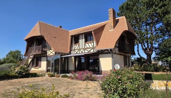 A vendre Maison de caract&egrave;re avec sous sol complet et grand s&eacute;jour