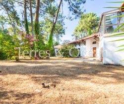 A louer MAISON  DE MAîTRE  SOORTS HOSSEGOR