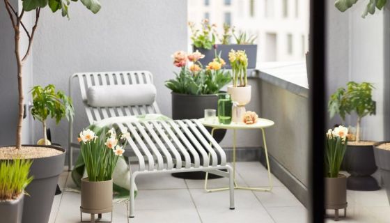 A louer APPARTEMENT NEUF T2 46 M2 TERRASSE  PERPIGNAN