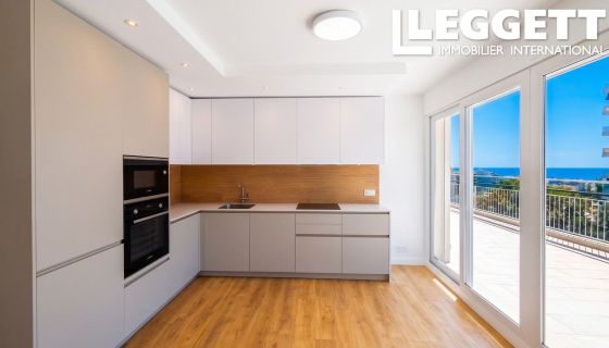A louer PENTHOUSE T3 55 M2 TERRASSE VUE MER NICE
