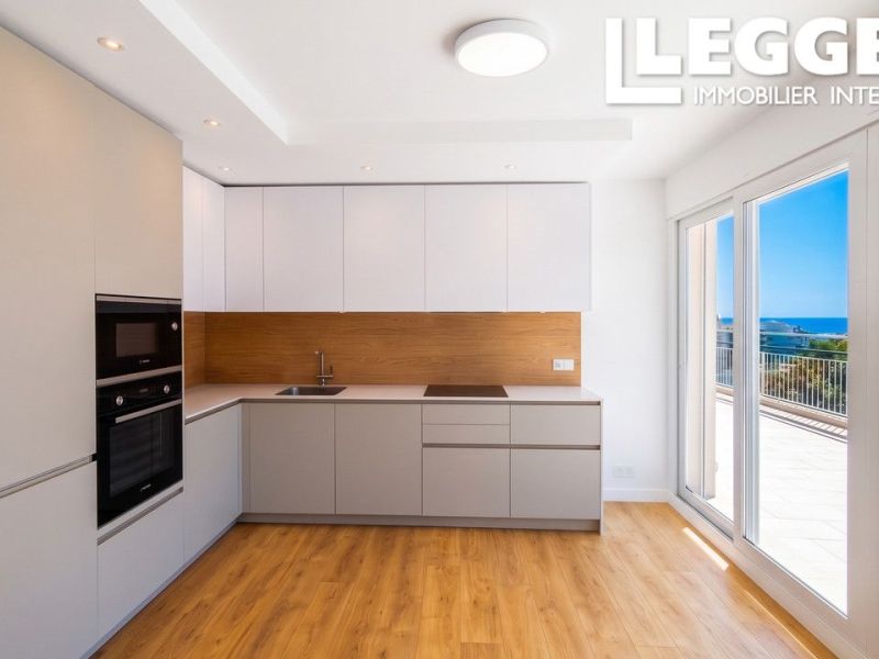 A louer PENTHOUSE T3 55 M2 TERRASSE VUE MER NICE