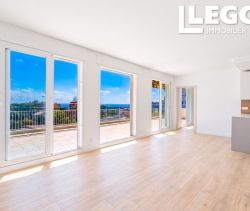 A louer PENTHOUSE T4 78 M2 TERRASSE VUE MER NICE