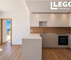 A louer PENTHOUSE T4 78 M2 TERRASSE VUE MER NICE