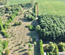 A vendre GîTE  HEDAUVILLE