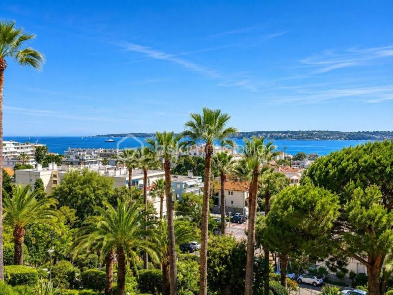 A louer APPARTEMENT T3 65 M2 TERRASSE VUE MER CANNES